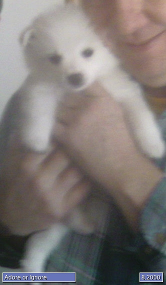 Nanuk