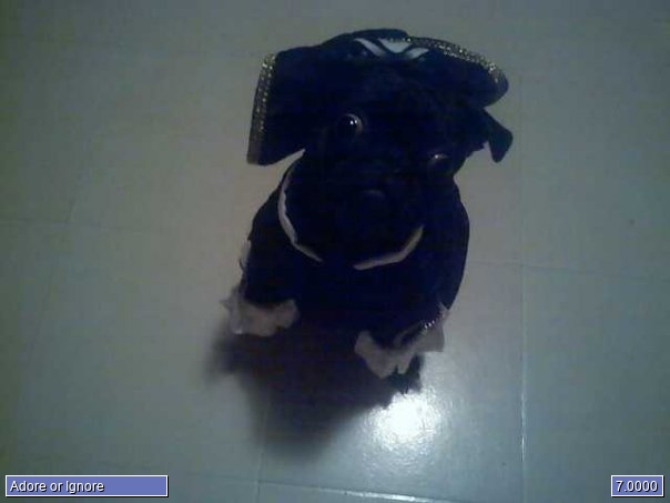 jax