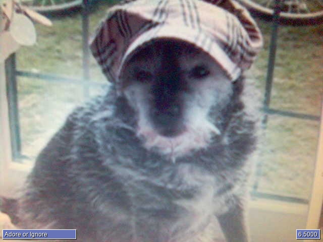 Remmy