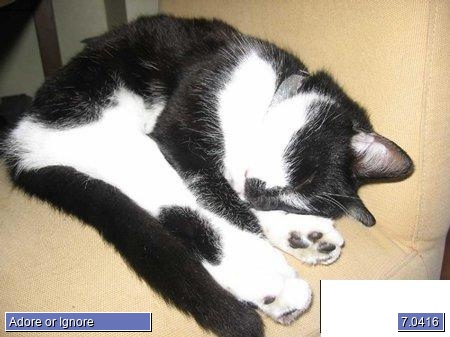 Stimpy photo 2