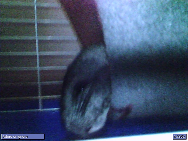 Cleo's Stepmom Cleo's Stepmom