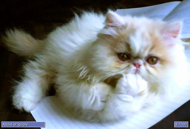 Creme (