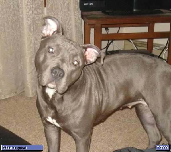 Roxy