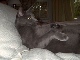 SmokeyBear6 SmokeyBear6